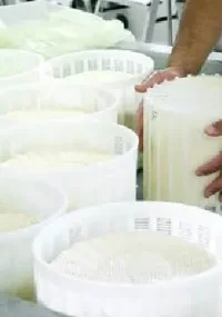 Molde para quesos manchegos con pleita